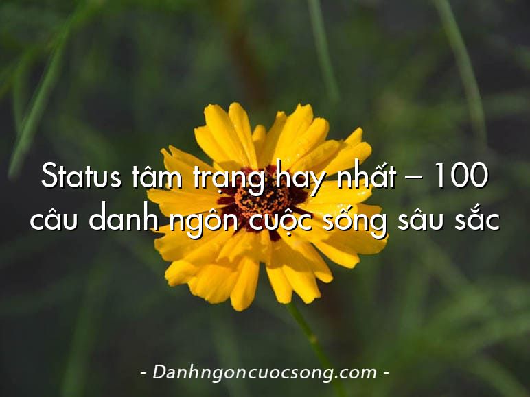 Status tâm trạng hay nhất – 100 câu danh ngôn cuộc sống sâu sắc