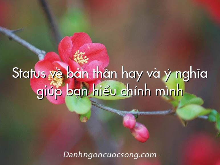 Status về bản thân hay và ý nghĩa giúp bạn hiểu chính mình