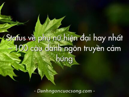 Status về phụ nữ hiện đại hay nhất – 100 câu danh ngôn truyền cảm hứng