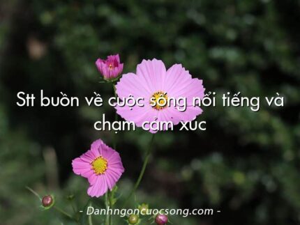 Stt buồn về cuộc sống nổi tiếng và chạm cảm xúc