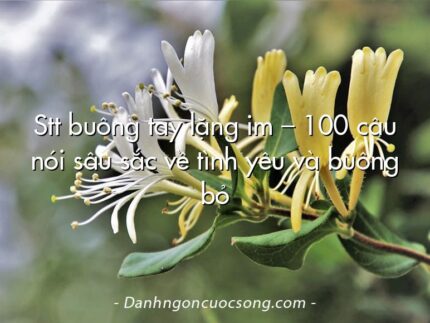 Stt buông tay lặng im – 100 câu nói sâu sắc về tình yêu và buông bỏ
