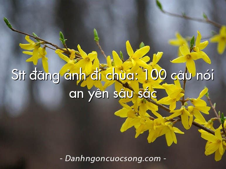Stt đăng ảnh đi chùa: 100 câu nói an yên sâu sắc