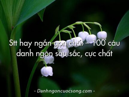 Stt hay ngắn gọn chất – 100 câu danh ngôn sâu sắc, cực chất