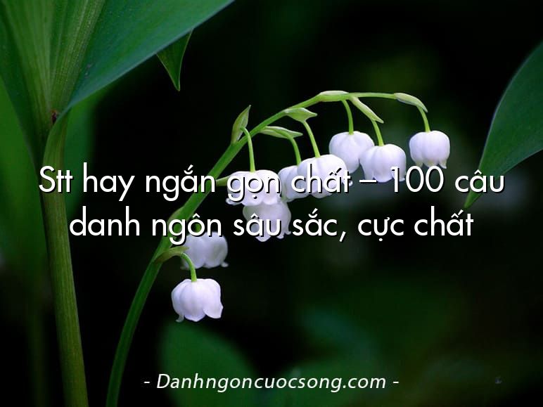 Stt hay ngắn gọn chất – 100 câu danh ngôn sâu sắc, cực chất