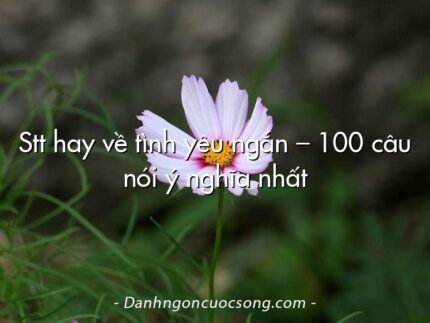 Stt hay về tình yêu ngắn – 100 câu nói ý nghĩa nhất