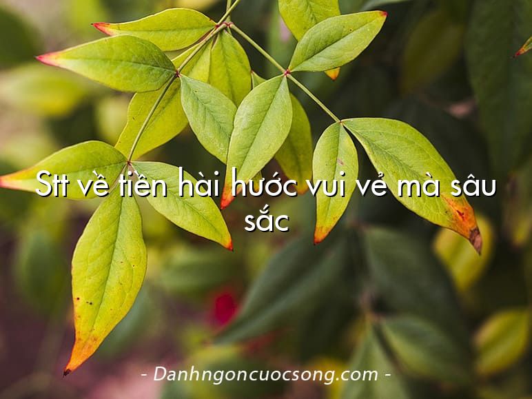 Stt về tiền hài hước vui vẻ mà sâu sắc