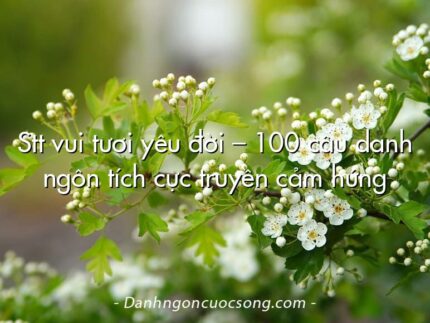 Stt vui tươi yêu đời – 100 câu danh ngôn tích cực truyền cảm hứng