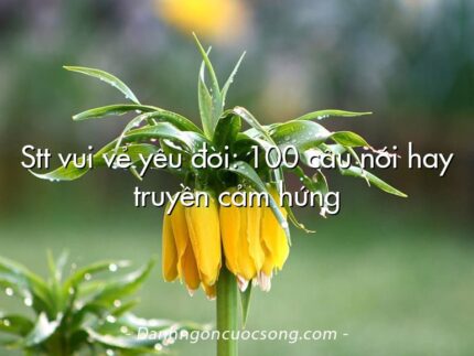 Stt vui vẻ yêu đời: 100 câu nói hay truyền cảm hứng