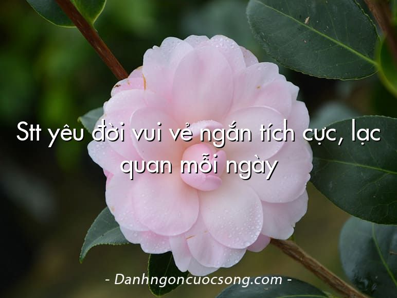 Stt yêu đời vui vẻ ngắn tích cực, lạc quan mỗi ngày