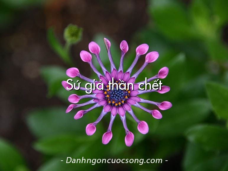 Sứ giả thần chết