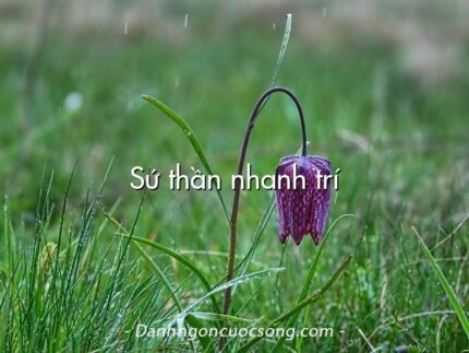 Sứ thần nhanh trí