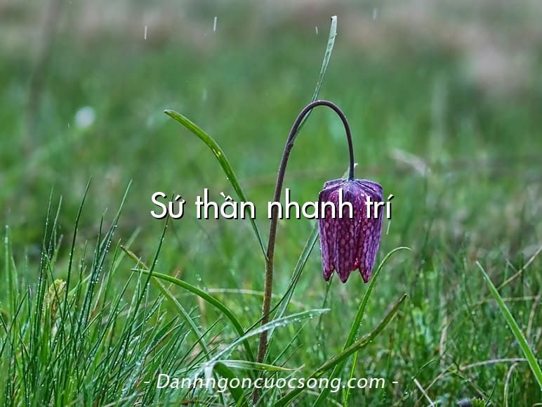 Sứ thần nhanh trí