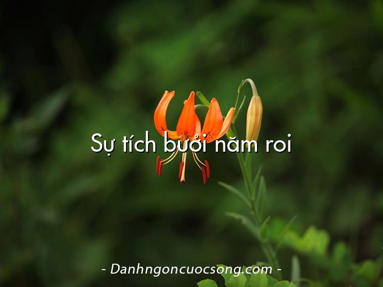 Sự tích bưởi năm roi