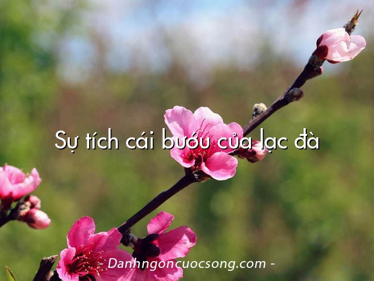 Sự tích cái bướu của lạc đà