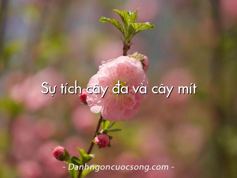 Sự tích cây đa và cây mít