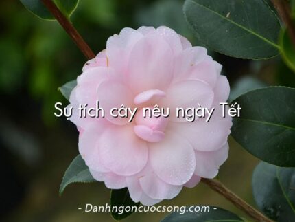 Sự tích cây nêu ngày Tết
