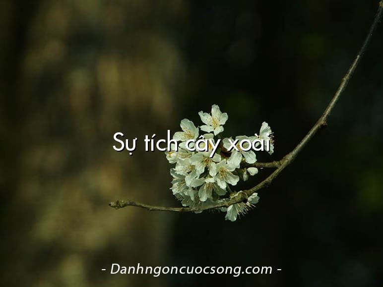 Sự tích cây xoài