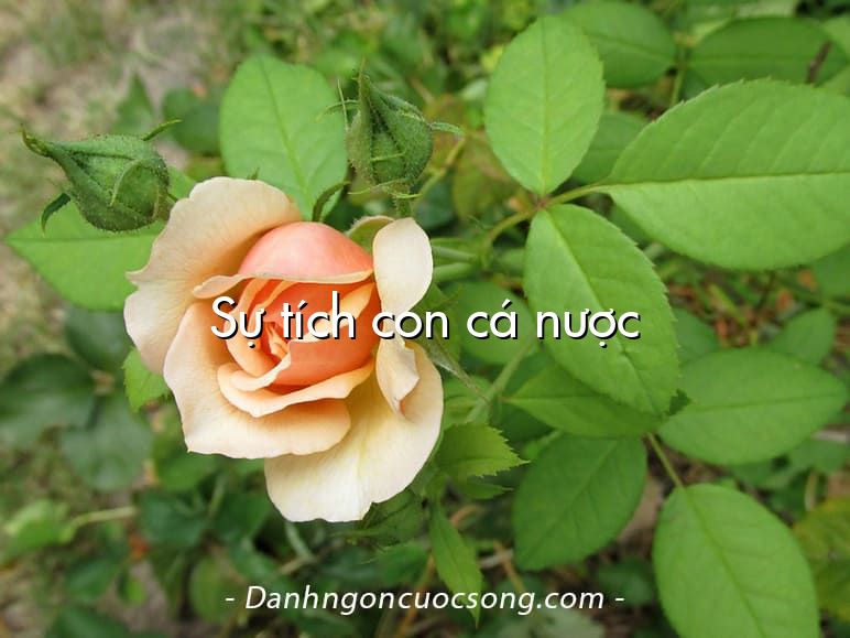 Sự tích con cá nược