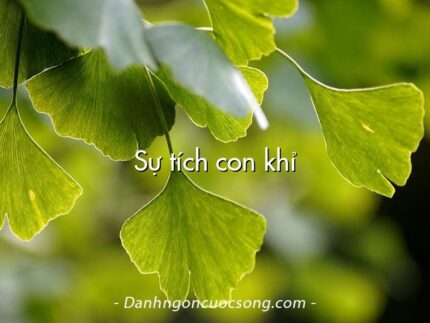 Sự tích con khỉ