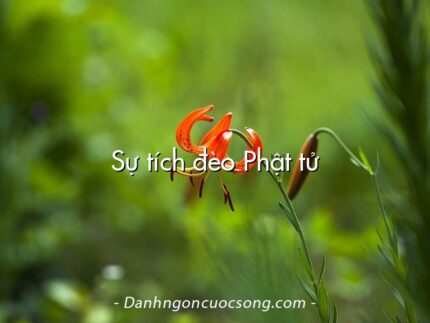 Sự tích đèo Phật tử