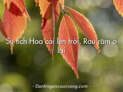 Sự tích Hoa cải lên trời, Rau răm ở lại