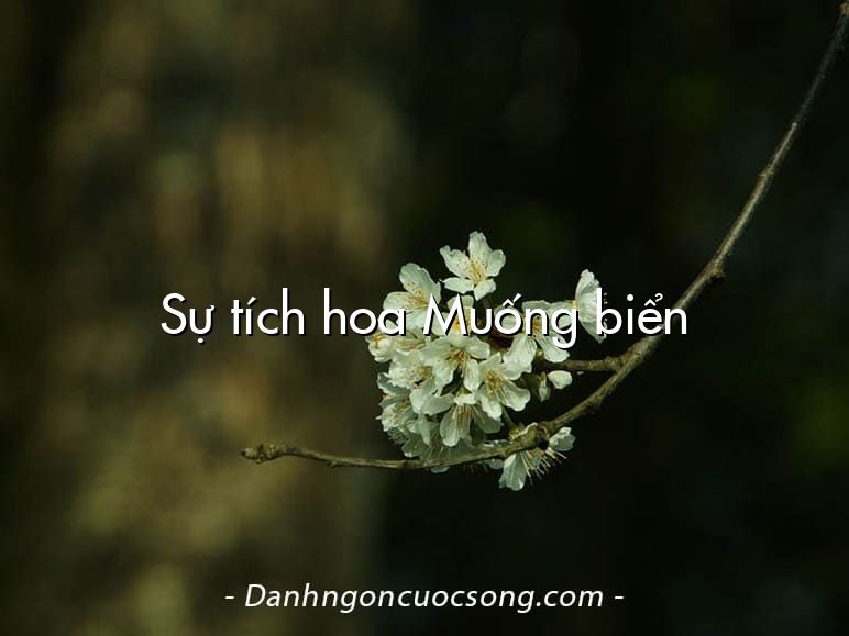 Sự tích hoa Muống biển