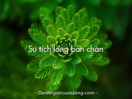 Sự tích lòng bàn chân