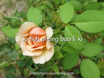 Sự tích phong bao lì xì