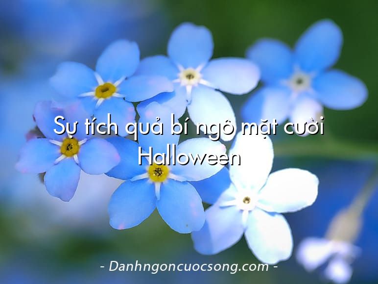 Sự tích quả bí ngô mặt cười Halloween