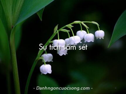 Sự tích sấm sét