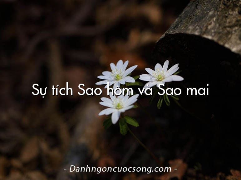 Sự tích Sao hôm và Sao mai