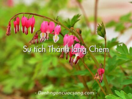 Sự tích Thánh làng Chèm