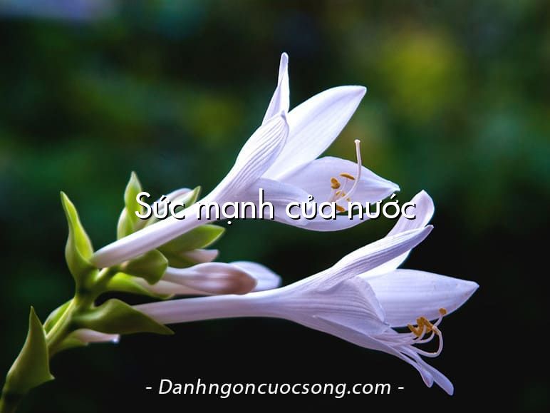 Sức mạnh của nước