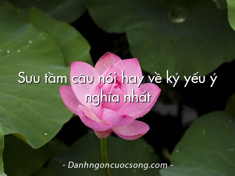 Sưu tầm câu nói hay về kỷ yếu ý nghĩa nhất