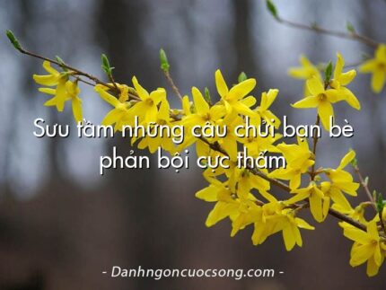 Sưu tầm những câu chửi bạn bè phản bội cực thấm