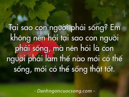 Tại sao con người phải sống? Em không nên hỏi tại sao con người phải sống, mà nên hỏi là con người phải làm thế nào mới có thể sống, mới có thể sống thật tốt.