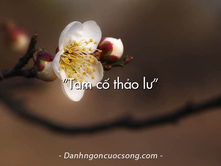 “Tam cố thảo lư”