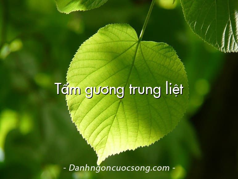 Tấm gương trung liệt