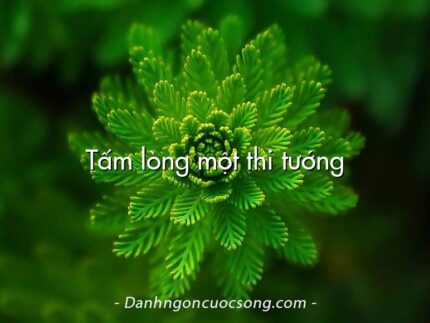 Tấm lòng một thi tướng
