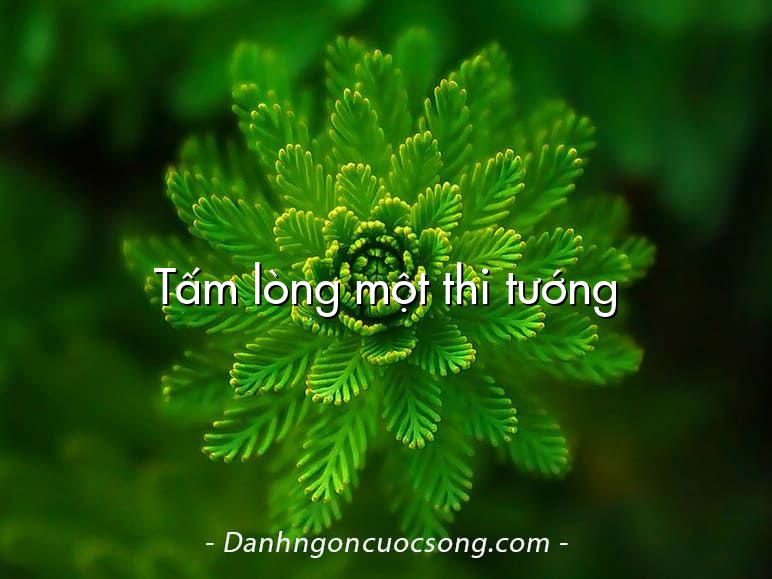 Tấm lòng một thi tướng