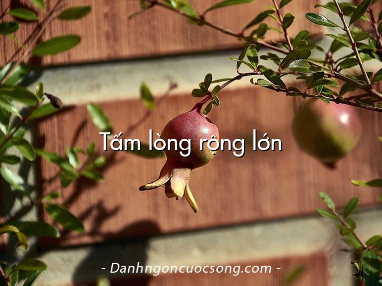 Tấm lòng rộng lớn