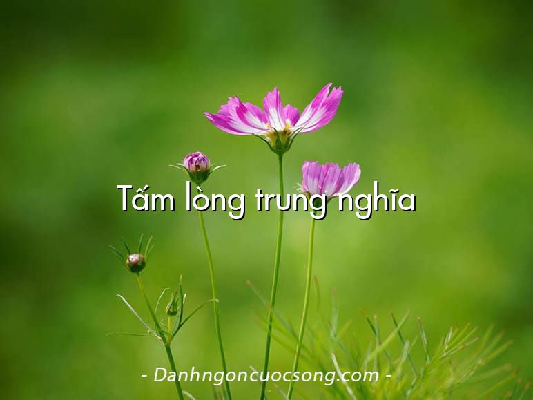 Tấm lòng trung nghĩa