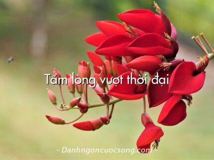 Tấm lòng vượt thời đại