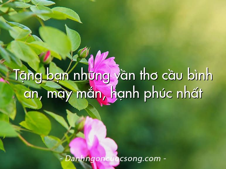 Tặng bạn những vần thơ cầu bình an, may mắn, hạnh phúc nhất
