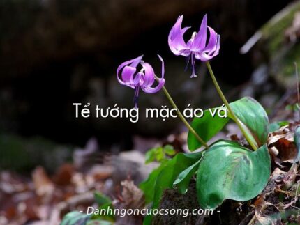 Tể tướng mặc áo vá