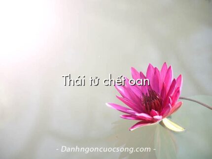Thái tử chết oan