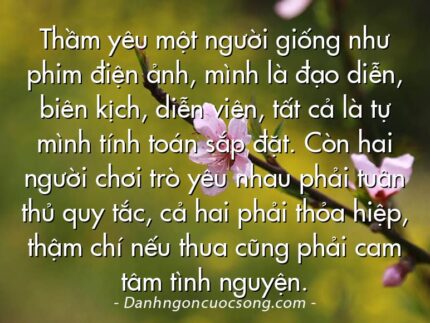 Thầm yêu một người giống như phim điện ảnh, mình là đạo diễn, biên kịch, diễn viên, tất cả là tự mình tính toán sắp đặt. Còn hai người chơi trò yêu nhau phải tuân thủ quy tắc, cả hai phải thỏa hiệp, thậm chí nếu thua cũng phải cam tâm tình nguyện.