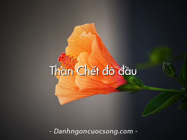 Thần Chết đỡ đầu