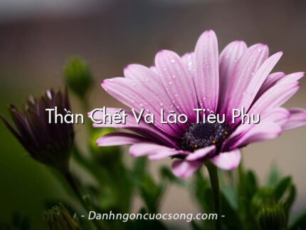 Thần Chết Và Lão Tiều Phu