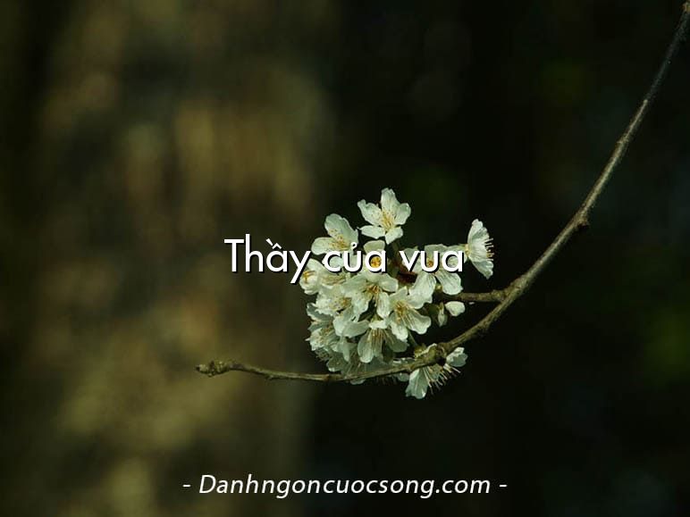 Thầy của vua
